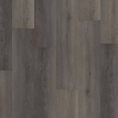 Reveille® Plus XL in Debonair