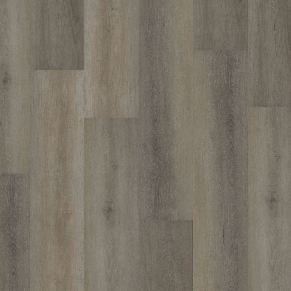 Reveille® Plus XL in Repose