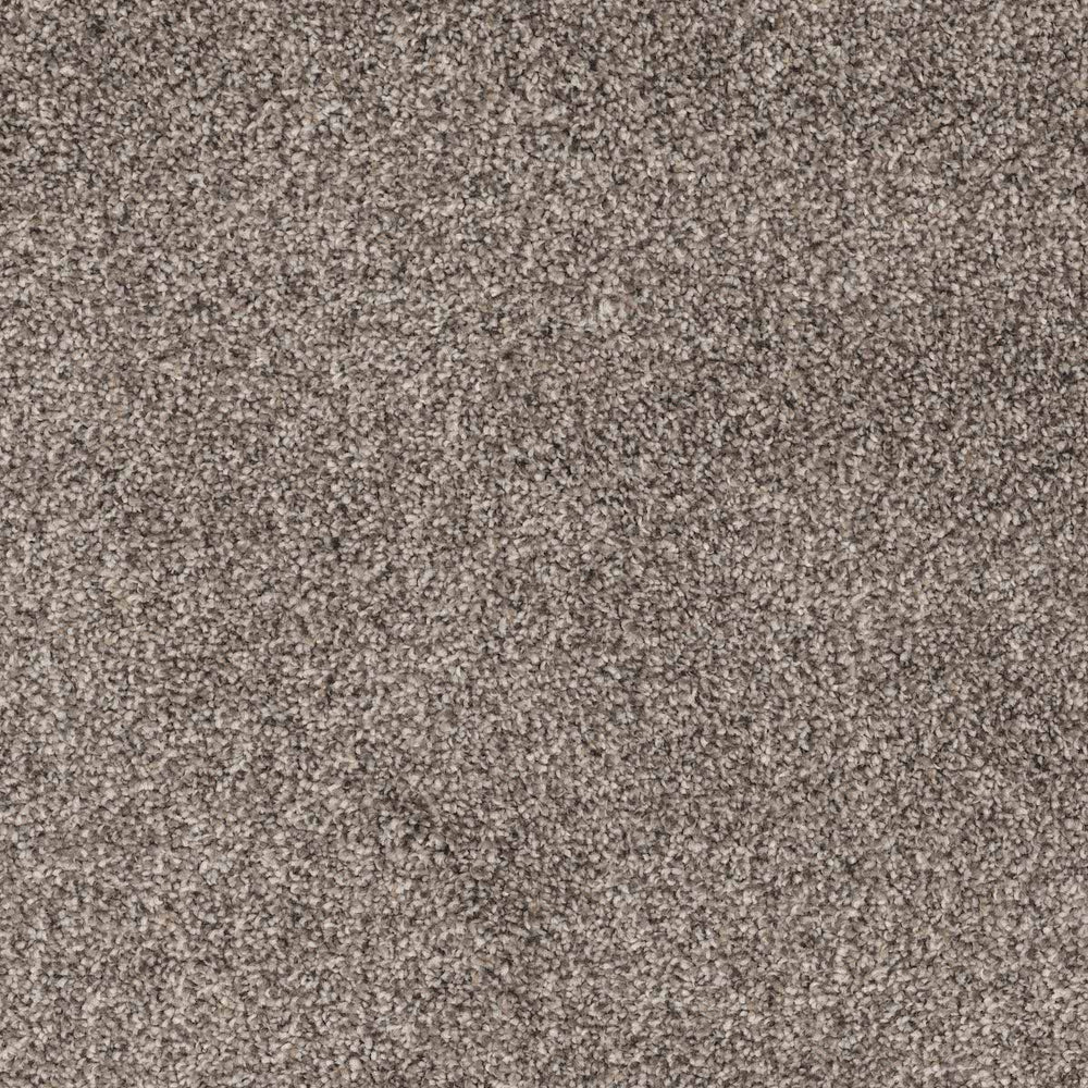 Masterpiece Carpet Flooring by EarthWerks