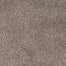 Masterpiece Carpet Flooring by EarthWerks