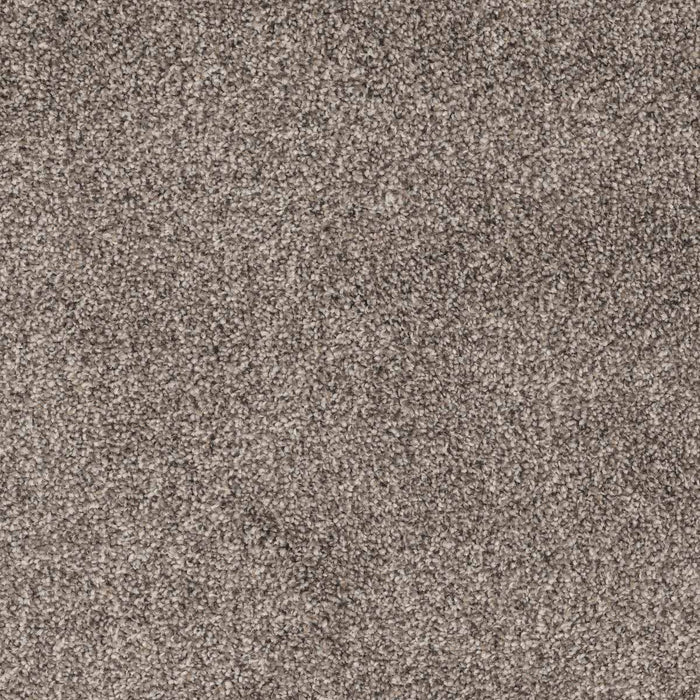 Masterpiece Carpet Flooring by EarthWerks