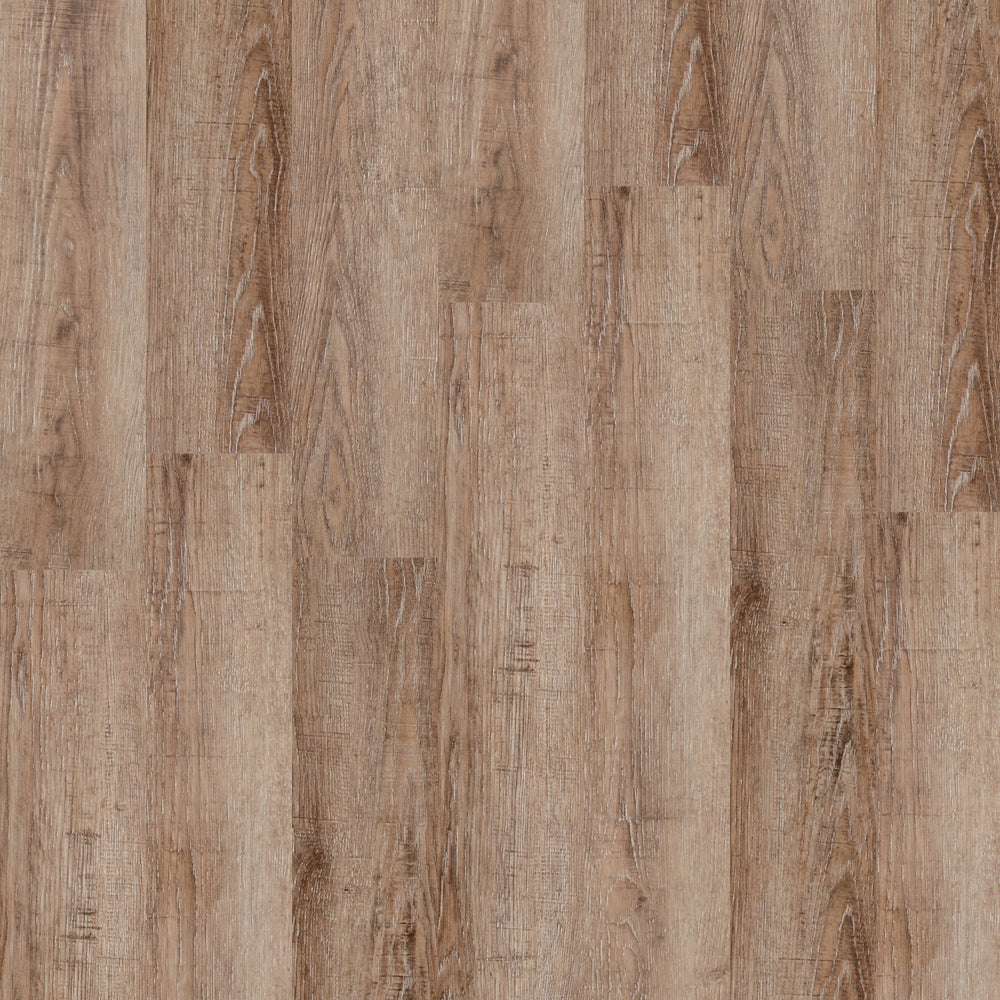 Parkhill® EIR Plus in Copperbrooke