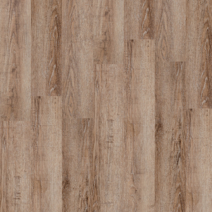 Parkhill® EIR Plus in Copperbrooke