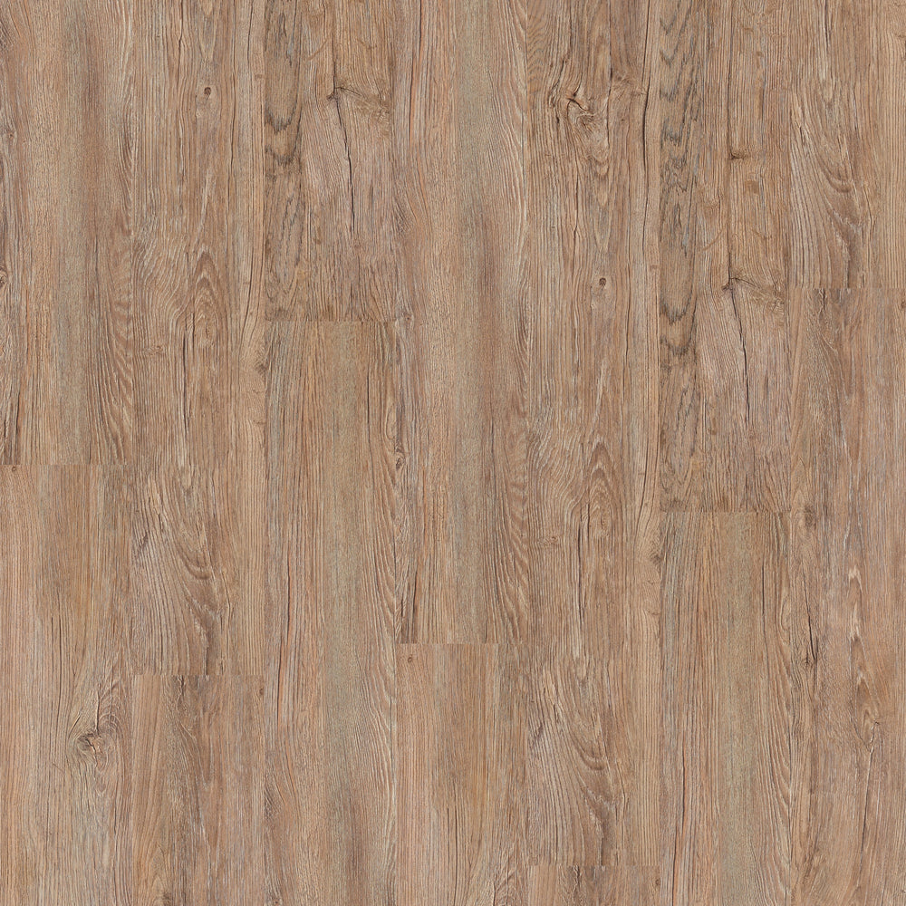 Parkhill® EIR Plus in Grove Park