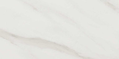 Selwyn in Bianco Calacatta 10" x 14" Wall Tile