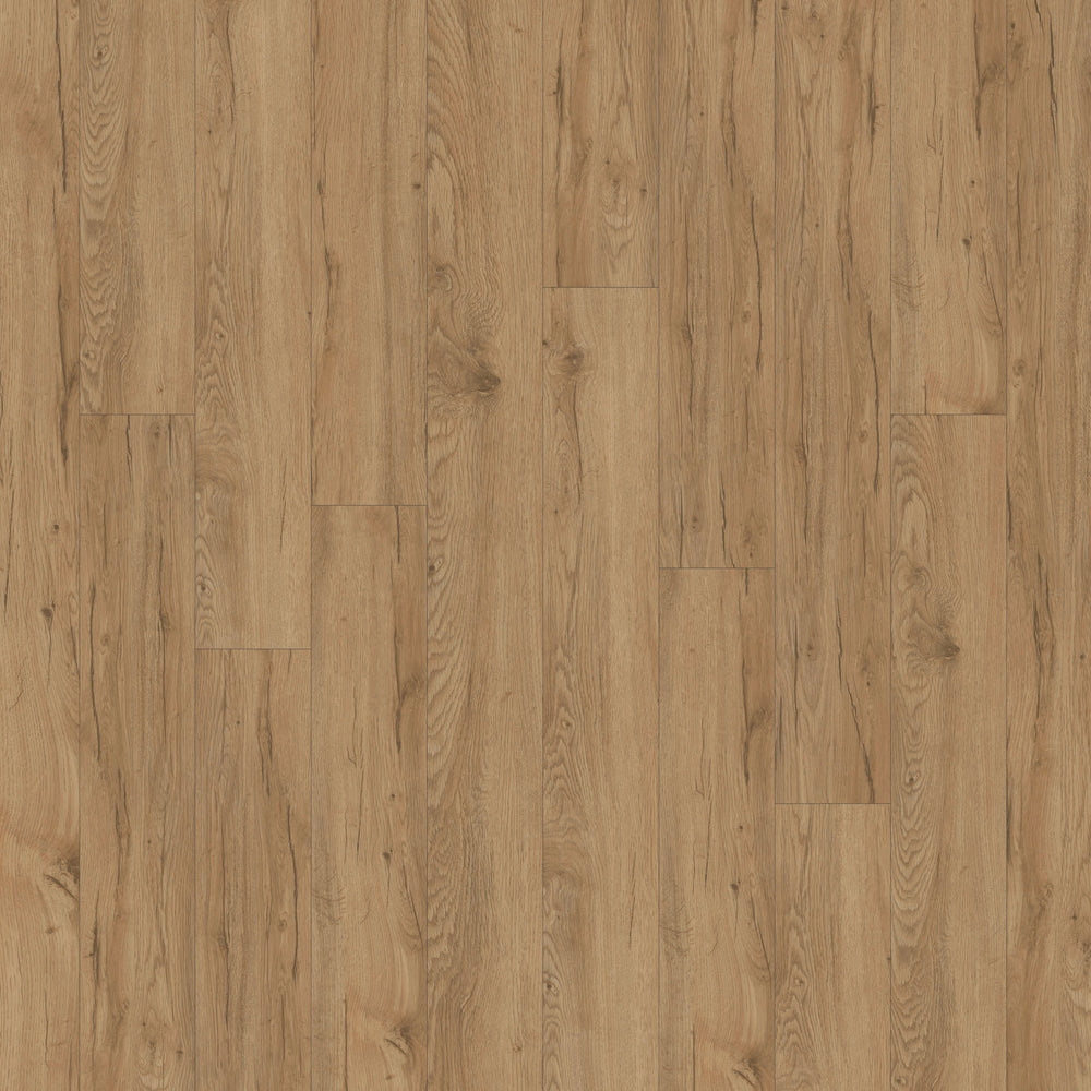 Alara® Plus in Keystone