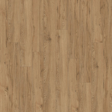 Alara® Plus in Keystone