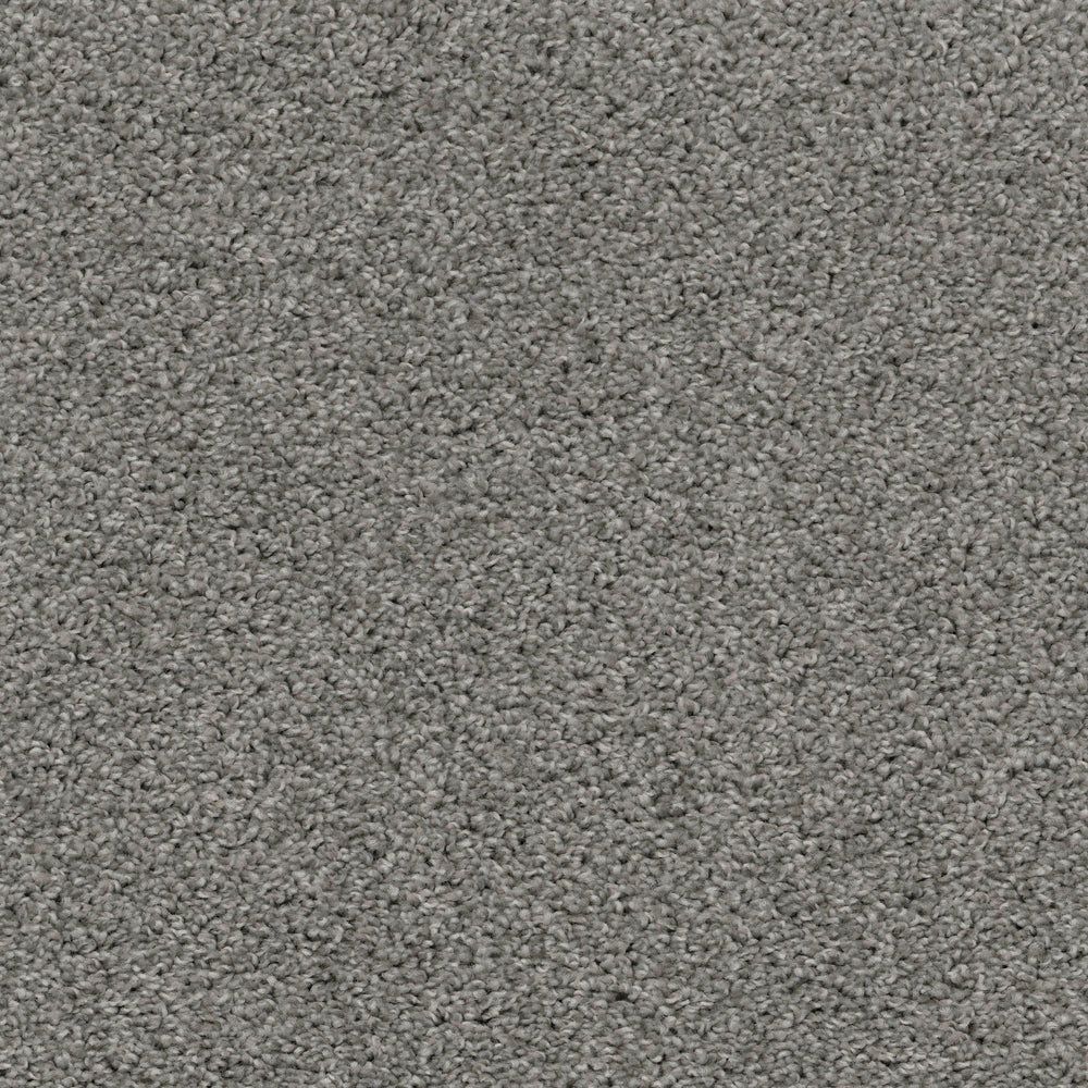 Shazam Carpet Flooring by EarthWerks