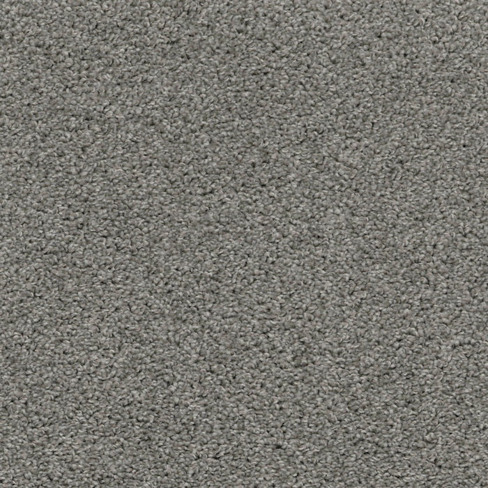 Shazam Carpet Flooring by EarthWerks