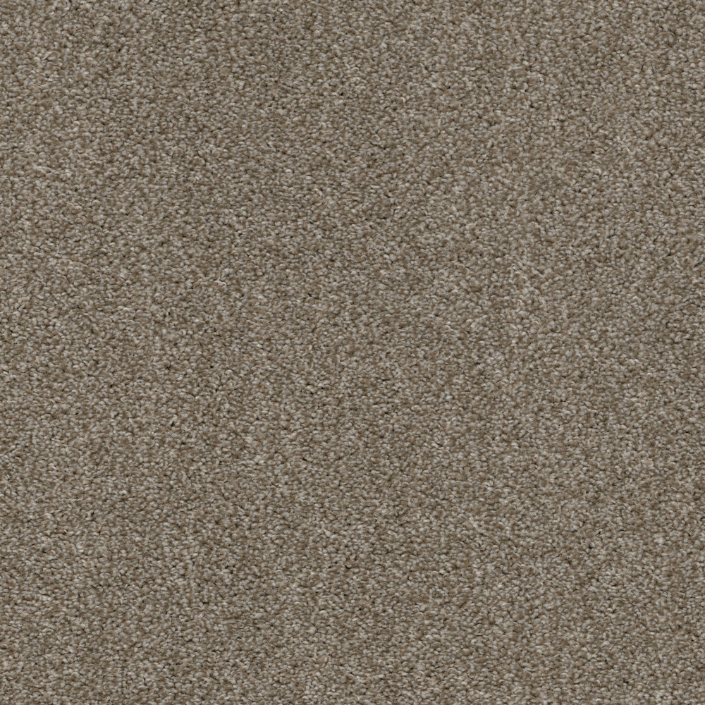 Allure Carpet Flooring by EarthWerks