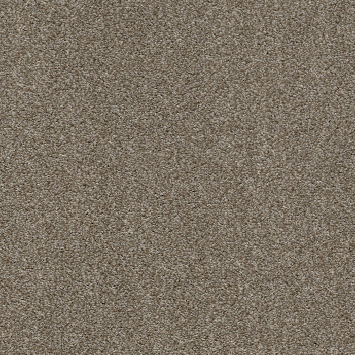 Allure Carpet Flooring by EarthWerks